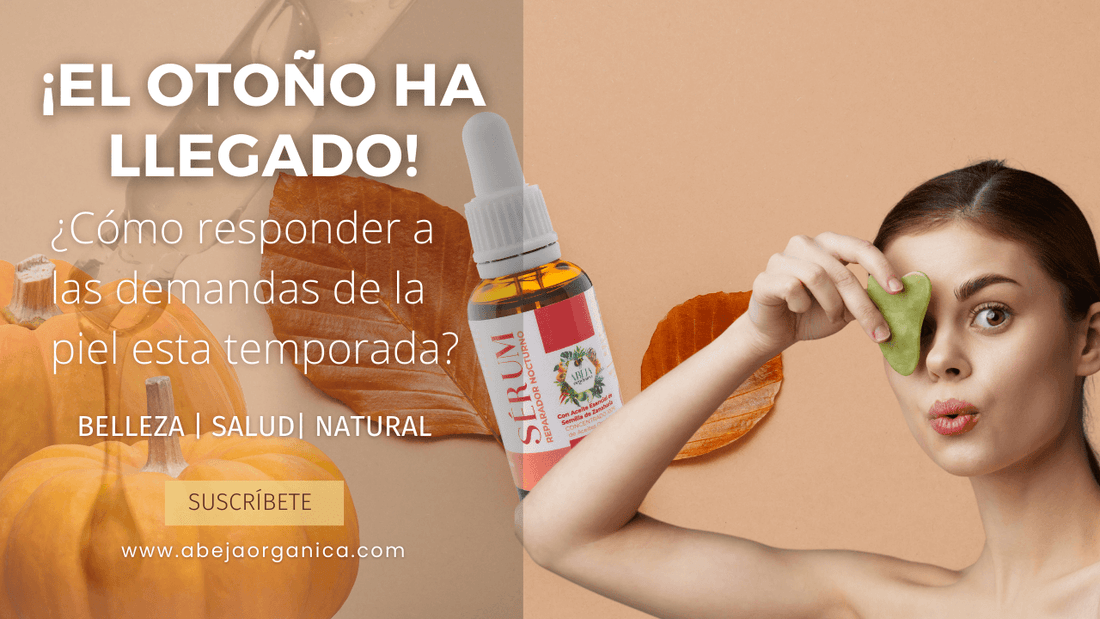 ¿Cómo podemos responder a las demandas de nuestra piel en otoño?